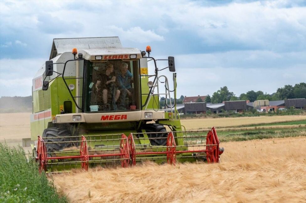 Sezon roślinny w Polsce a gatunki uprawiane